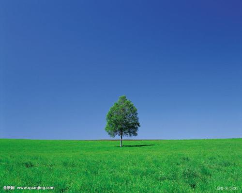 Ի͡ʮ塱 ܽʯɽݡ·չܼټ