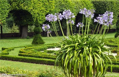 ÕÔÀÖ¼Ê:½øÒ»²½Íƶ¯×öºÃÖÐÑ뵥λÄÚ²¿Ñ²ÊÓ¹¤×÷