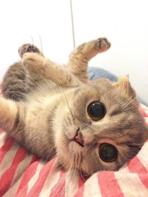 ͨ䲿Сͳ޾Ӫ߲泵ṩ